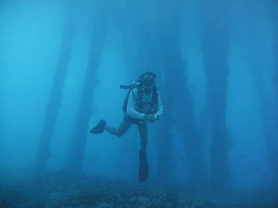 Chegando aos pilares de South Pier, no sul de Bonaire